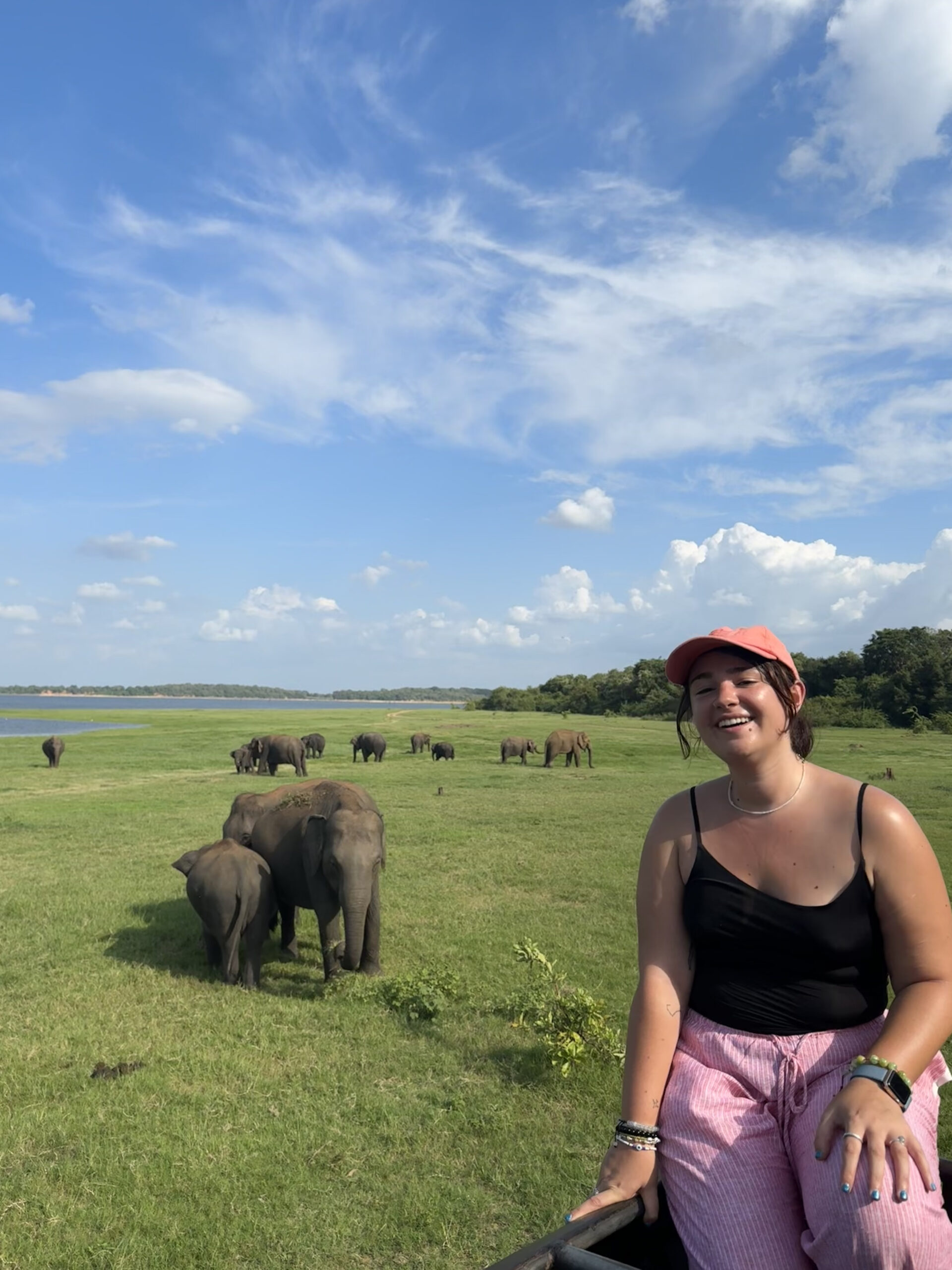 Woman in black with pink hat smiling in front of elephants 