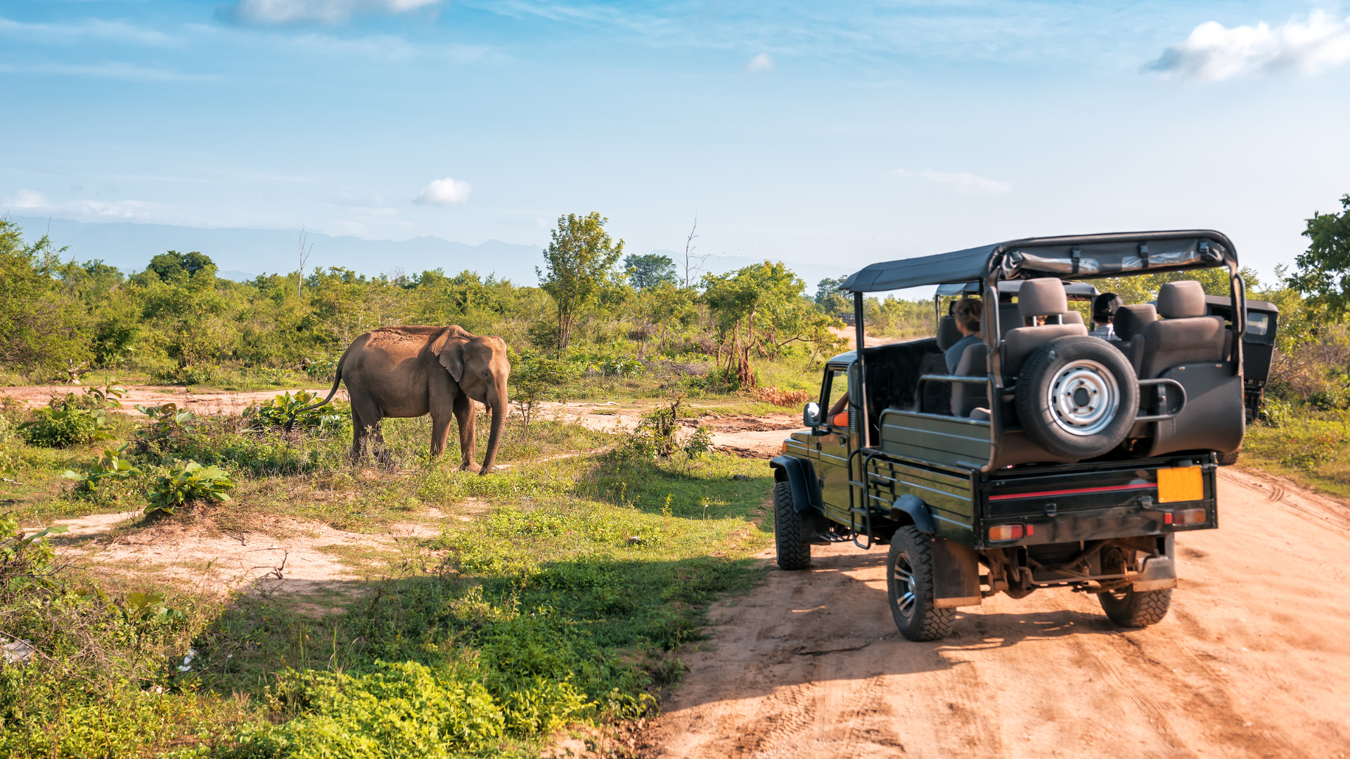 Safari stands in front of Safari jeep in Africa