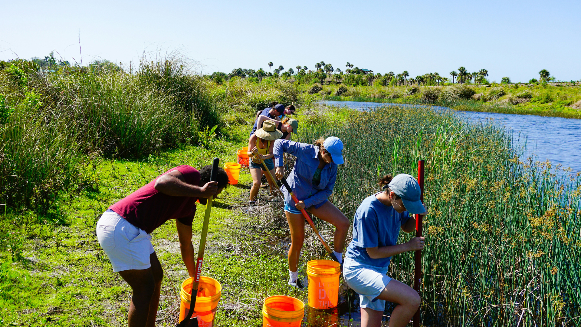 Women volunteering in sustainability project